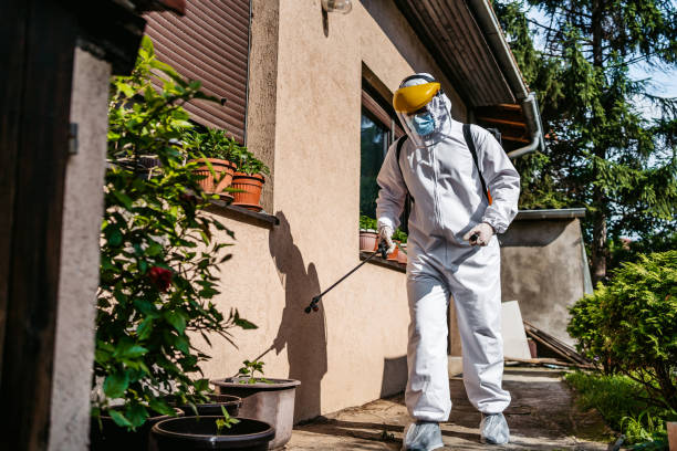 Wasp Removal Services in Samoset, FL